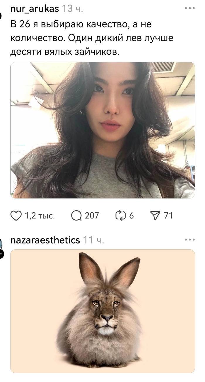 ���������� ���