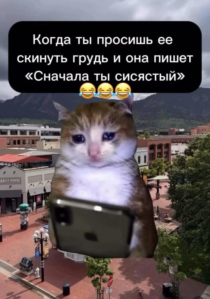�� ������ �� ��
