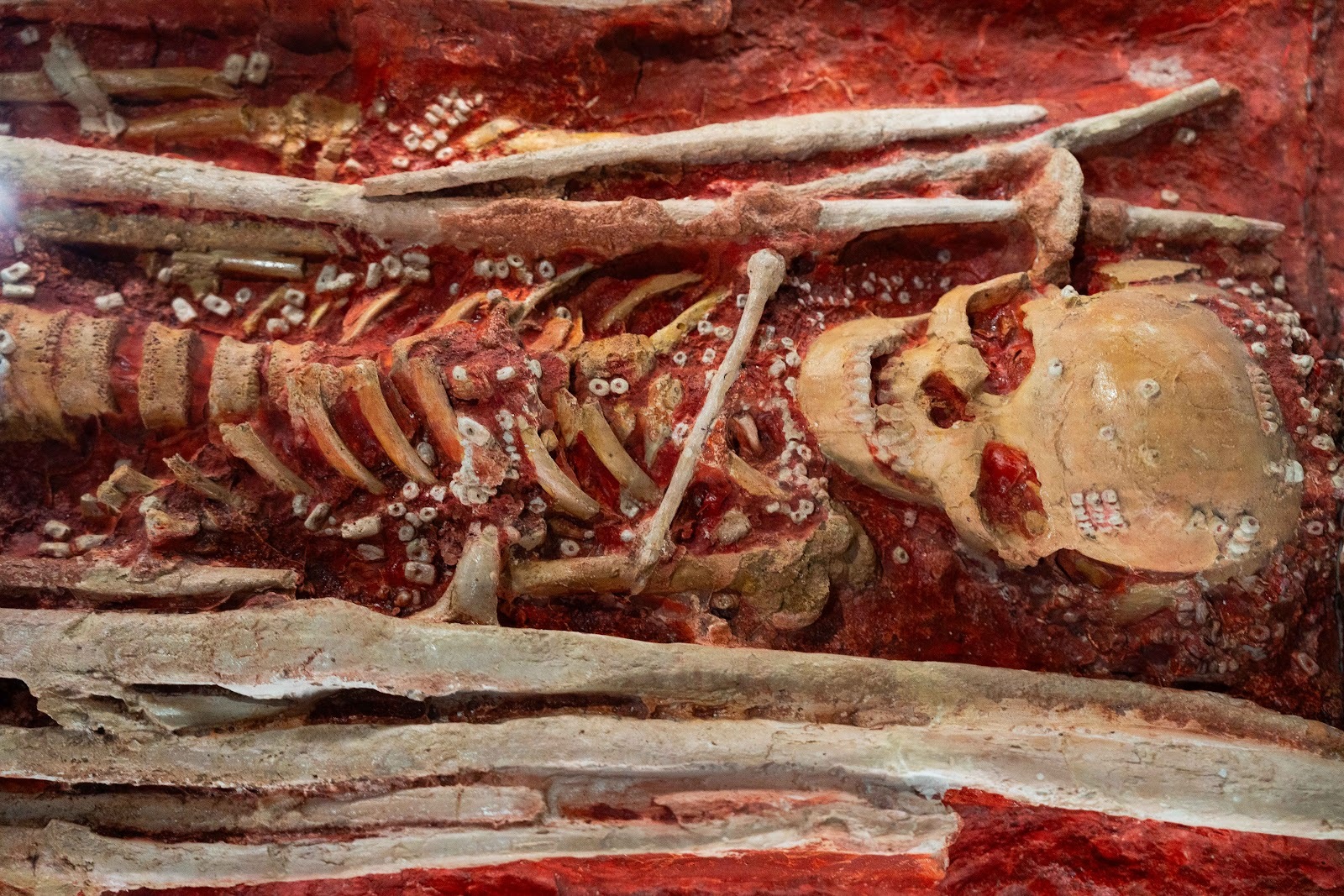 Sungir site. Upper Paleolithic in the central Russian Plain - My, Vladimir region, Vladimir city, Museum, Sungir, Stone Age, Ancient people, Burial, Mammoth tusks, sights, History (science), Archaeological excavations, Longpost