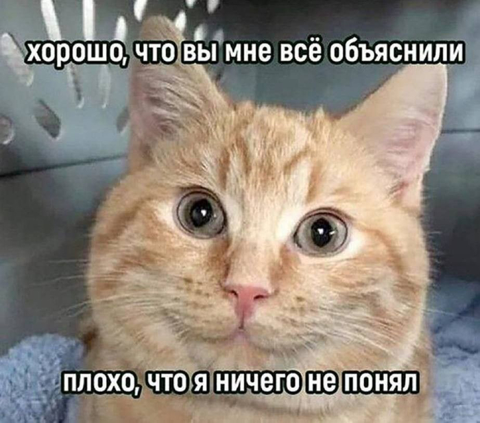 Сколько стоит хаос: как объяснить боссу необходимость таск-менеджера 4