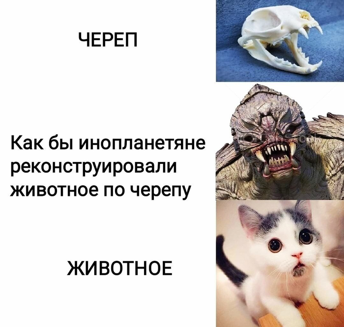 Может и динозавры были милее котиков :)