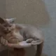 ����� ����� ������ ���� �����������
