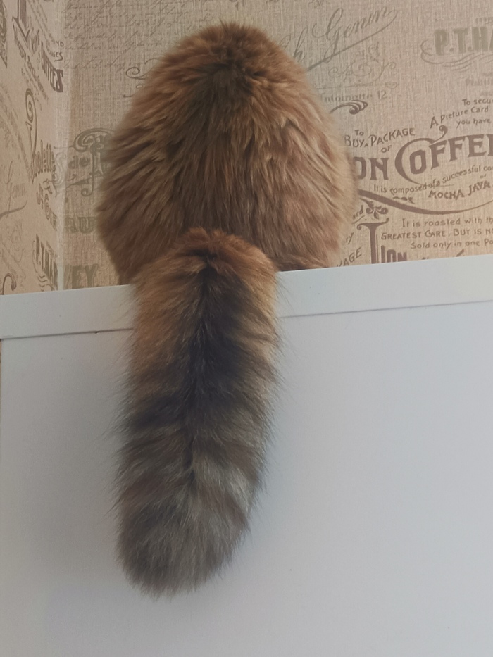 Ох, коты!