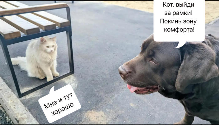 ���� �� ���������� ����������