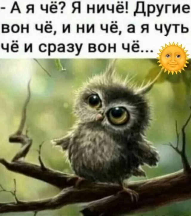 Maybe I'll throw in some more funny pictures... :) - Series Memes
, Humor, Picture with text, Memes, Longpost