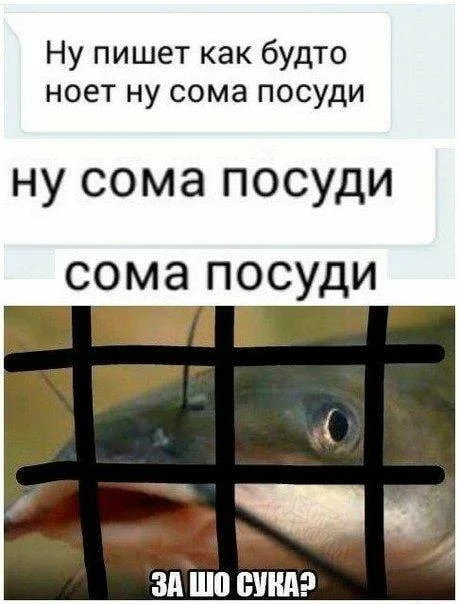 Maybe I'll throw in some more funny pictures... :) - Series Memes
, Humor, Picture with text, Memes, Longpost