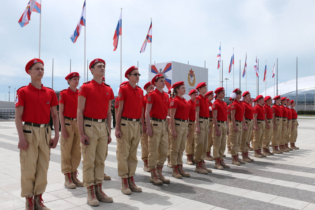 In the Pskov region, a local police officer and members of the Young Army disarmed a gang of Latvians who were stealing birch bark from the forests. - My, Yunarmiya, Forest, Иностранцы, Foreign agents, Latvians, European Union, Theft, IA Panorama