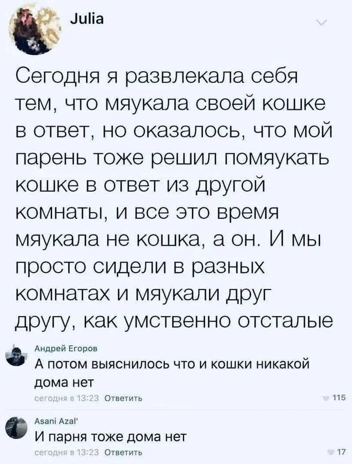 Помяукали