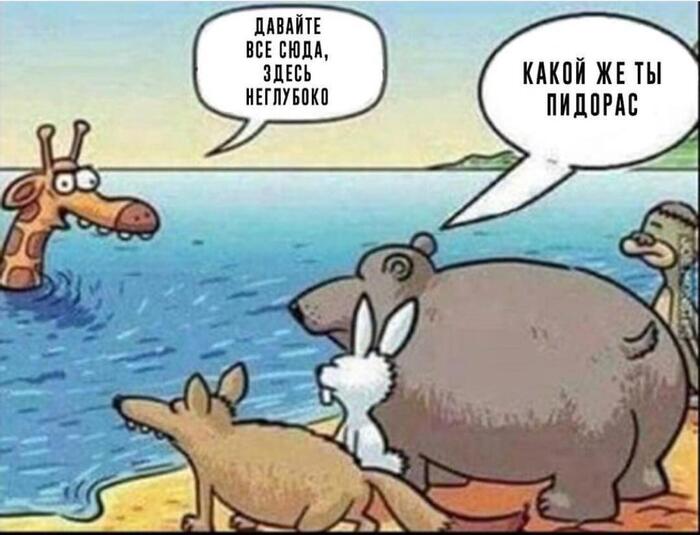 Ответ на пост «Хочу как верблюд, а не вот это вот всё...»