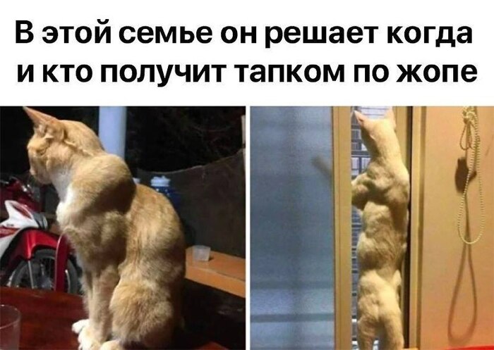 Решала