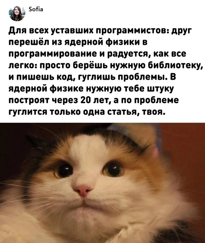 ����� ����