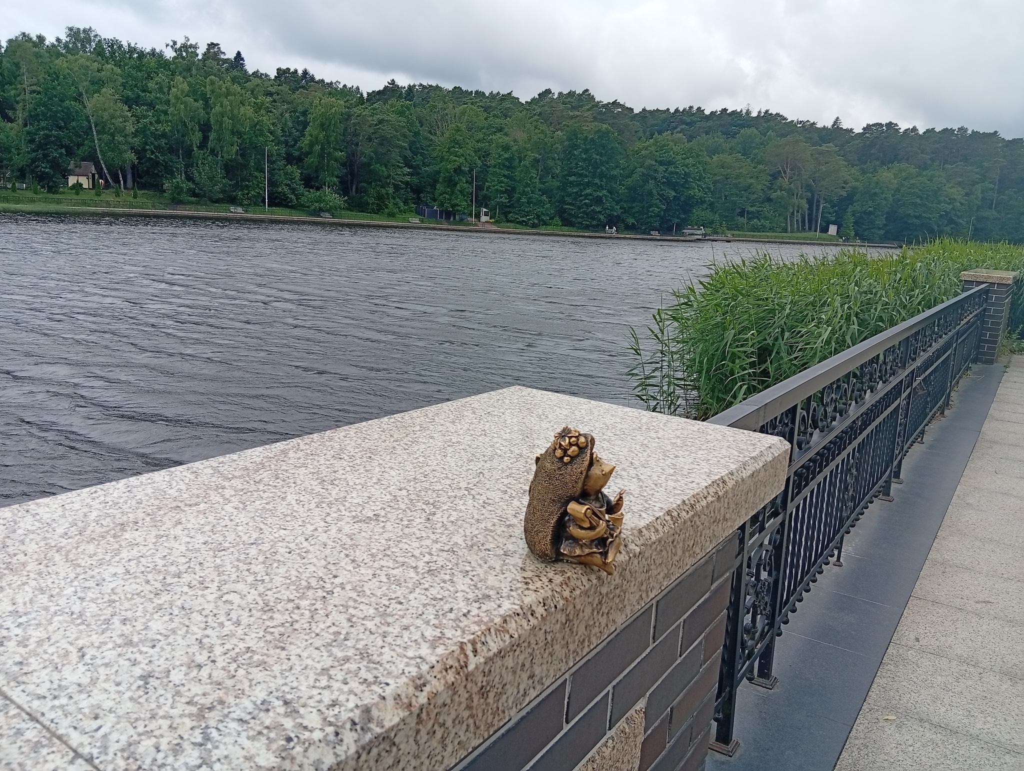I don't know for sure yet, but it seems to work! - My, Kaliningrad region, Svetlogorsk, Lake, Good league, Nature, Hedgehog, Longpost, Water, Relaxation, The nature of Russia, A fish, White cupid, Silver carp, Amber Land, Baltic Sea, Series Save the Lake, Stocking