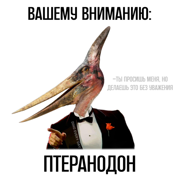 DED