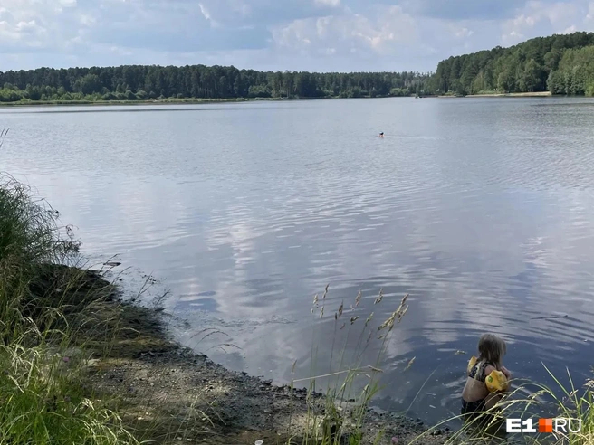 Дети купаются в иле Источник: читатель <!--noindex--><a href="https://pikabu.ru/story/priekhali_kakieto_shishki_politseyskie_vyigonyayut_s_plyazha_prostyikh_uraltsev_izza_vipperson_14123202?u=http%3A%2F%2FE1.RU&t=E1.RU&h=d14cb2f4849bc246a517d6332b909846dc263a36" title="http://E1.RU" target="_blank" rel="nofollow noopener">E1.RU</a><!--/noindex--> Александра