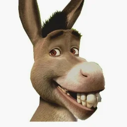 user11984769