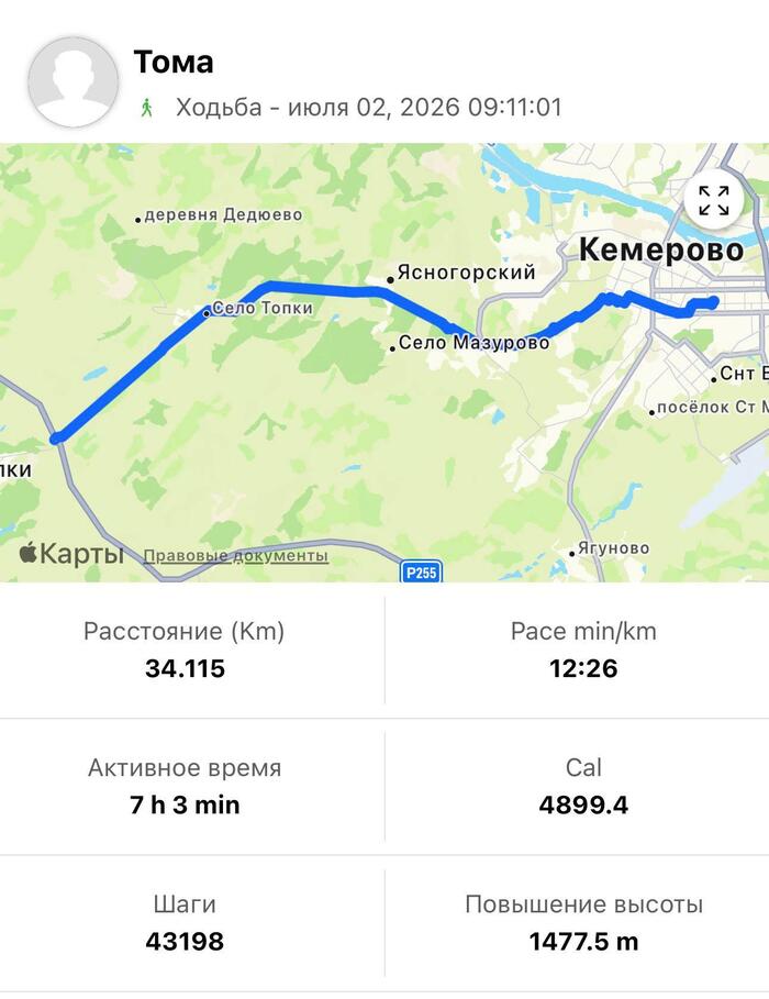 ��������: Telegram-����� ������� ����� ������ | ������ -> �����������
