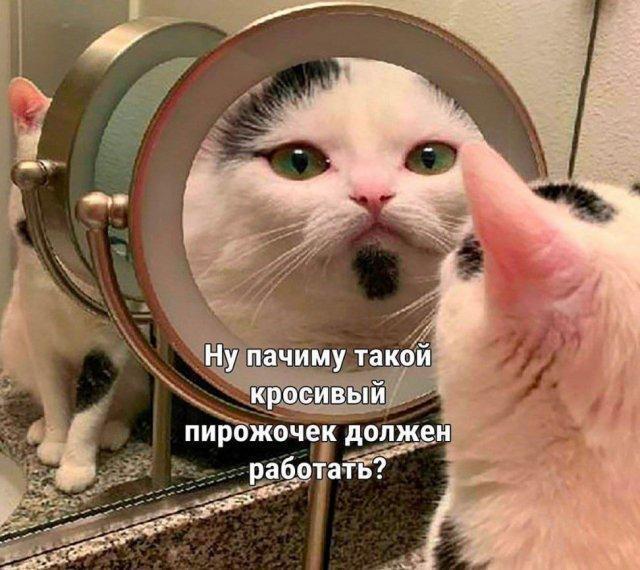 Избитая истина