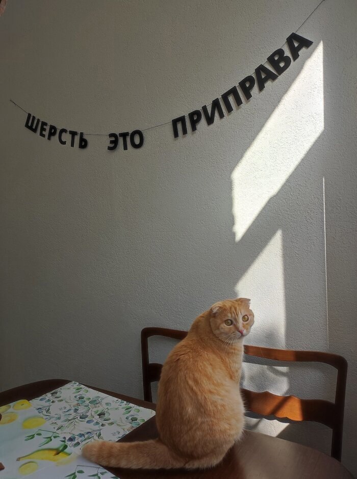 Неочевидные вещи