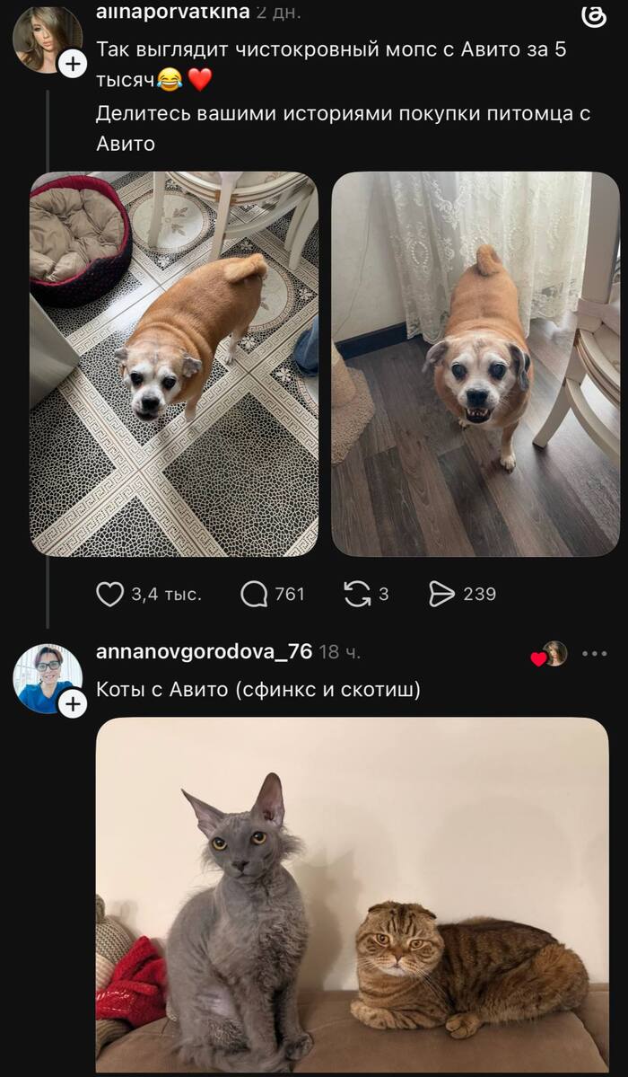 ������������� �������