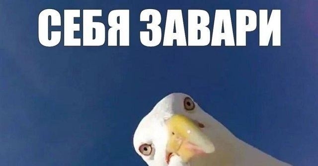 Эй