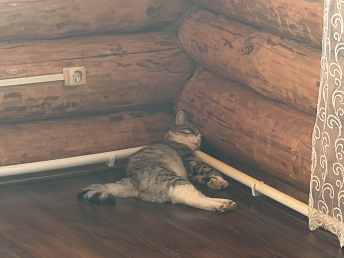 Томас решил так отдохнуть😝