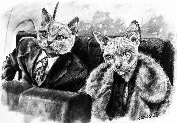 Котик ты не понял,