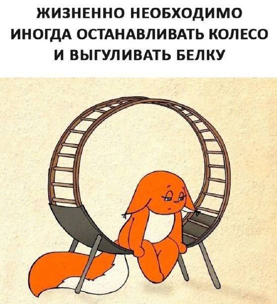 ����� ���� ����� ����� �� ��������