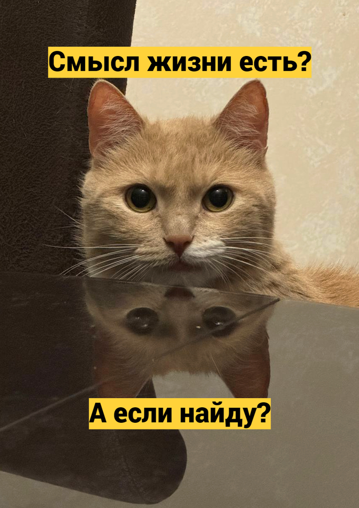 � ���� �����?