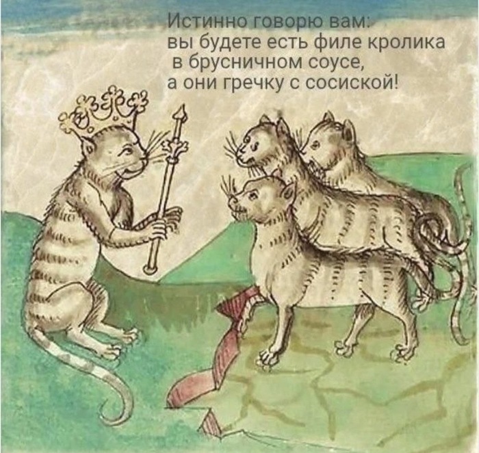 Кошачий завет