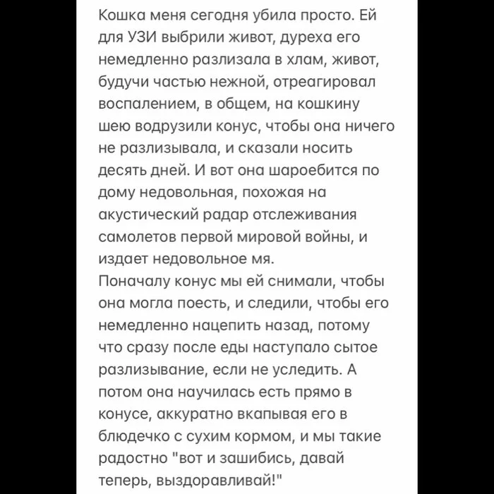kjdbehtv.webp