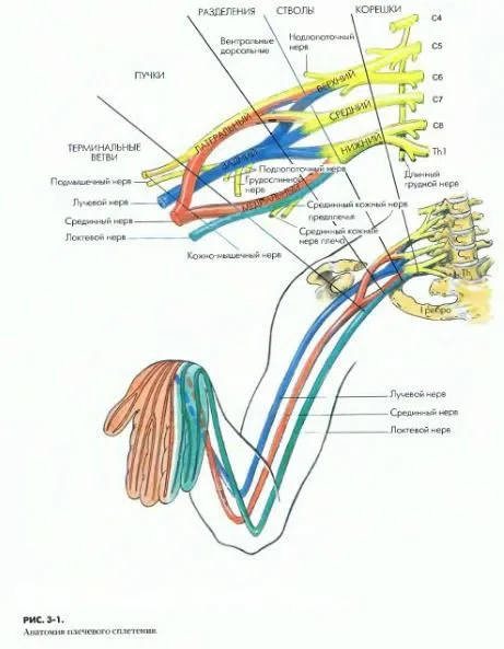 The most common myths about anesthesia - My, Treatment, Surgery, The medicine, Health, Anesthesia, Operation, Narcosis, Longpost