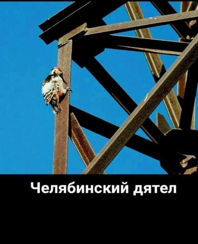 For those interested in memes, here are some - Series Memes
, Humor, Picture with text, Memes, Long, Strange humor, Sad humor, Longpost