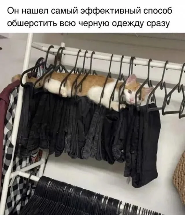 For those interested in memes, here are some - Series Memes
, Humor, Picture with text, Memes, Long, Strange humor, Sad humor, Longpost