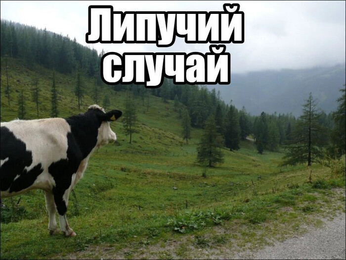 ������ �������