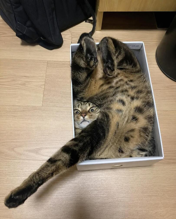 ������