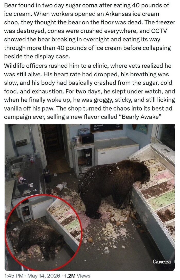 ������� ������ �����������, ��� �� � ��� �� ������