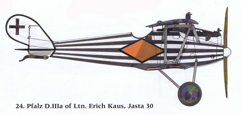 Pfalz D.IIIa – Striped - My, Aviation, Military aviation, Fighter, Aircraft modeling, Stand modeling, Scale model, Longpost