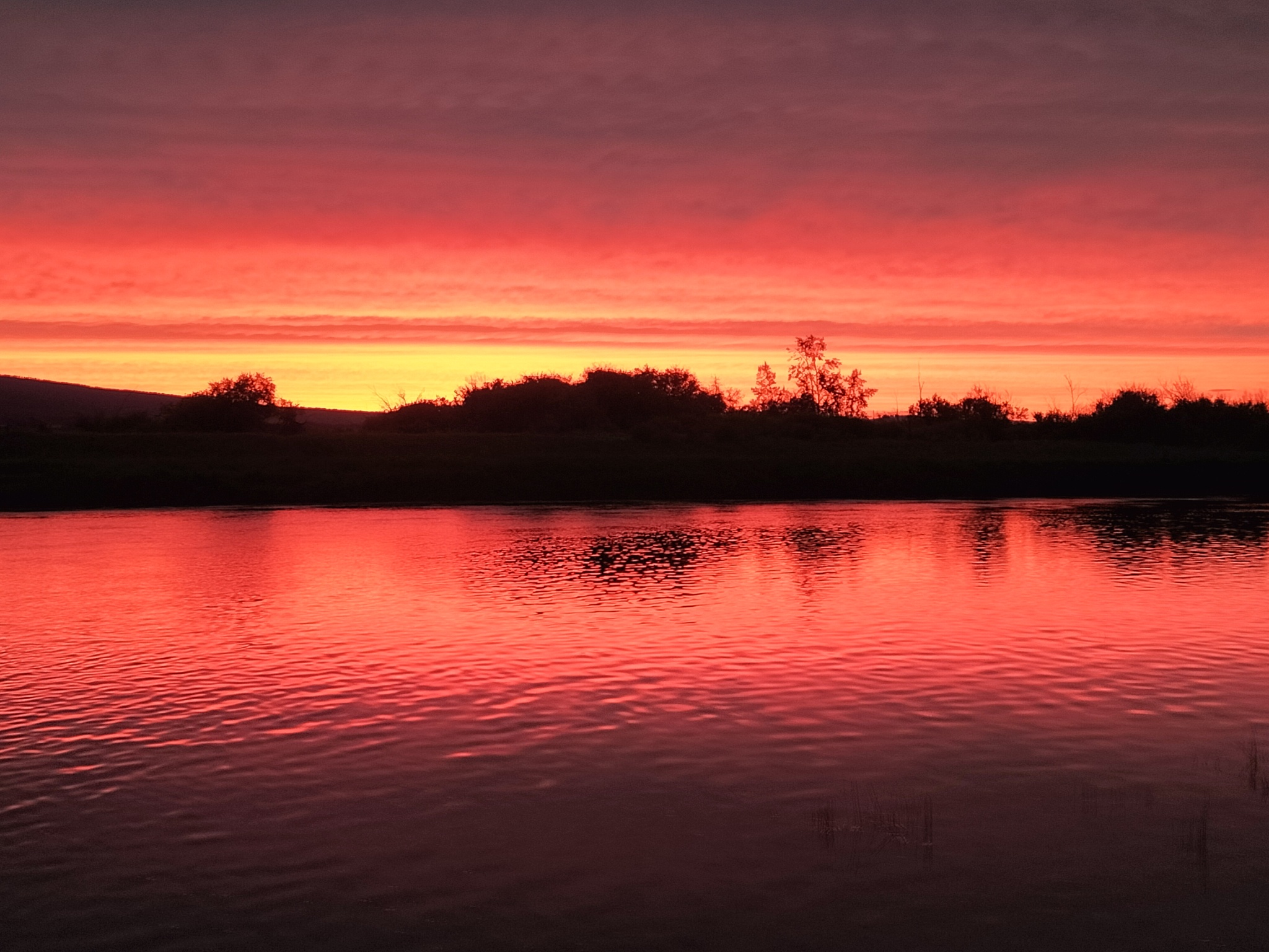 Reply to the post Show me the last photo you took just because you thought it was beautiful. - My, Lena river, Sunset
