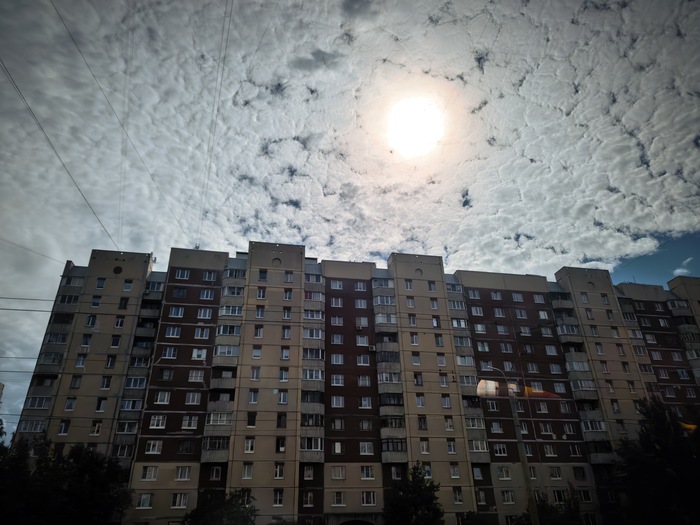 Ответ на пост «Покажите последнюю фотографию, которую вы сделали просто потому что вам было красиво»