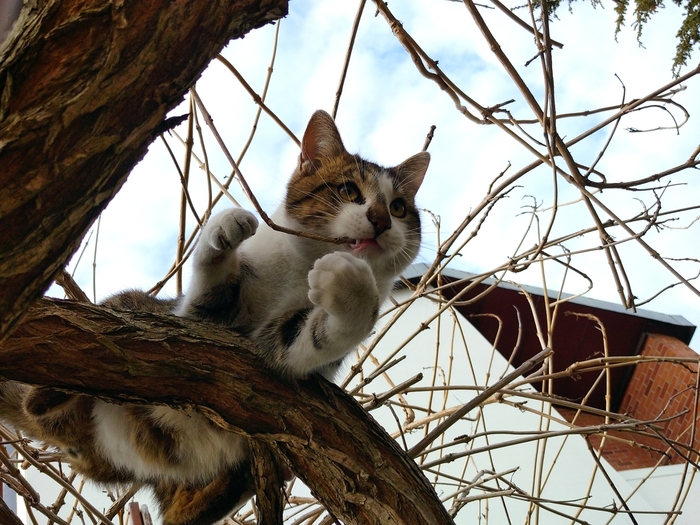 Ответ VampiRUS в «Покажите последнюю фотографию, которую вы сделали просто потому что вам было красиво»