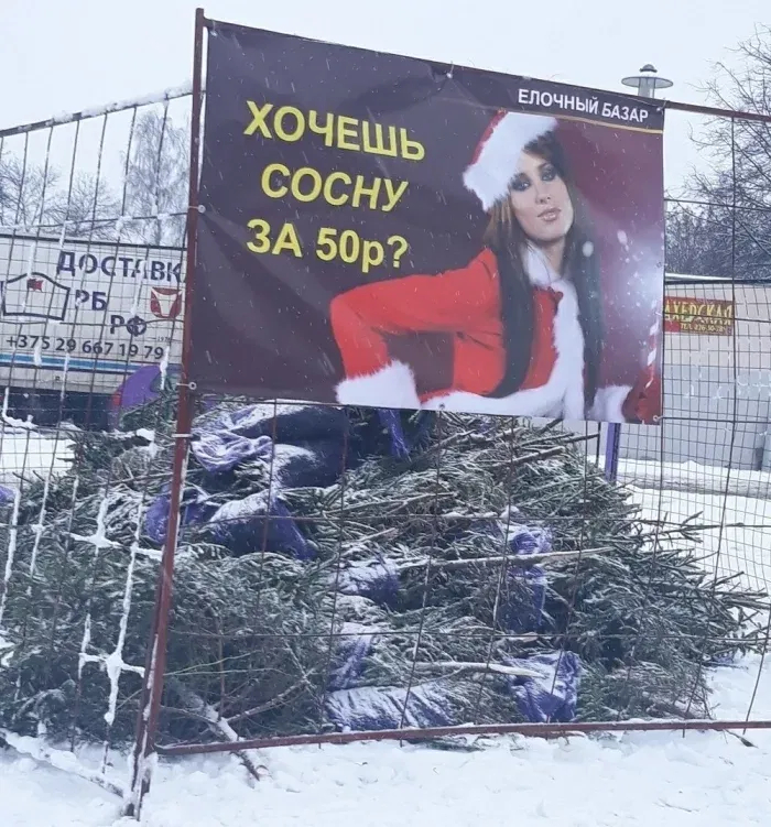 Ёлочный базар, Дед Мороз в виде девушки в костюме, и подпись, которую без смеха читать невозможно. Копирайтер явно писал это в 2 часа ночи и даже не перечитал. А зря — получился вирусный хит.