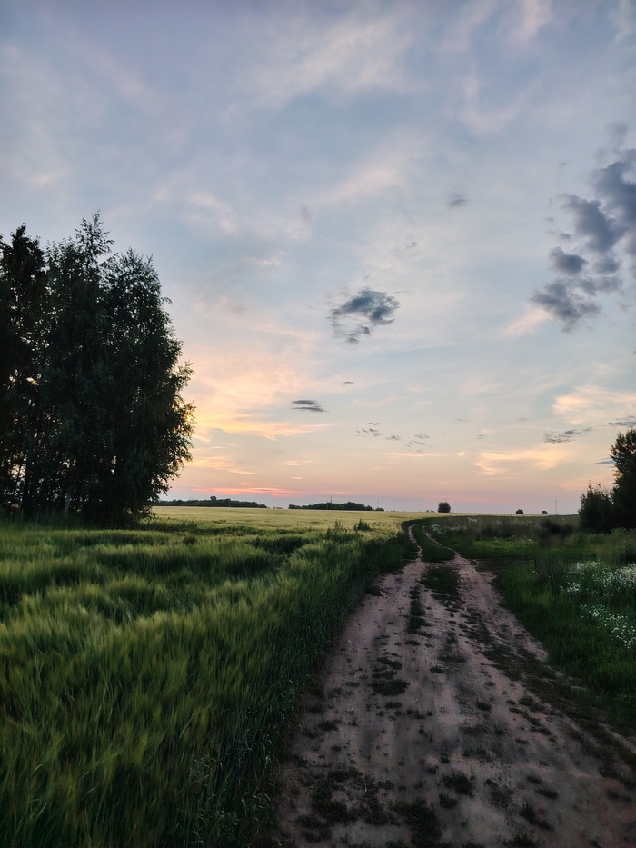 Покажите последнюю фотографию, которую вы сделали просто потому что вам было красиво