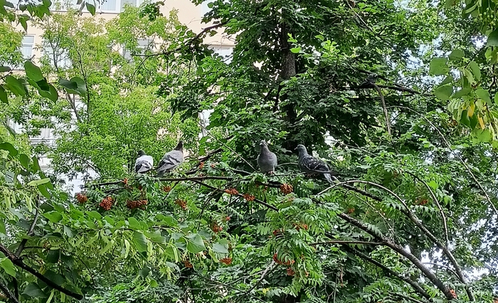В тенечке посидеть