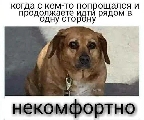 Memes July 12, 2026 A.D. - Picture with text, Memes, Images, Humor, Strange humor, Longpost, A selection, Video