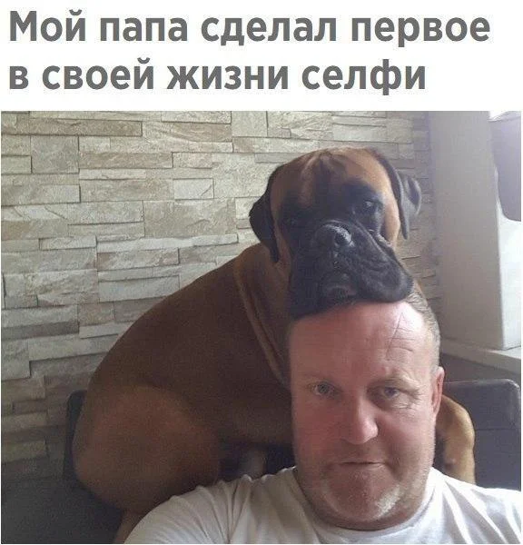 Memes July 12, 2026 A.D. - Picture with text, Memes, Images, Humor, Strange humor, Longpost, A selection, Video