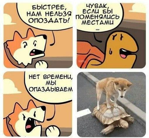 Memes July 12, 2026 A.D. - Picture with text, Memes, Images, Humor, Strange humor, Longpost, A selection, Video