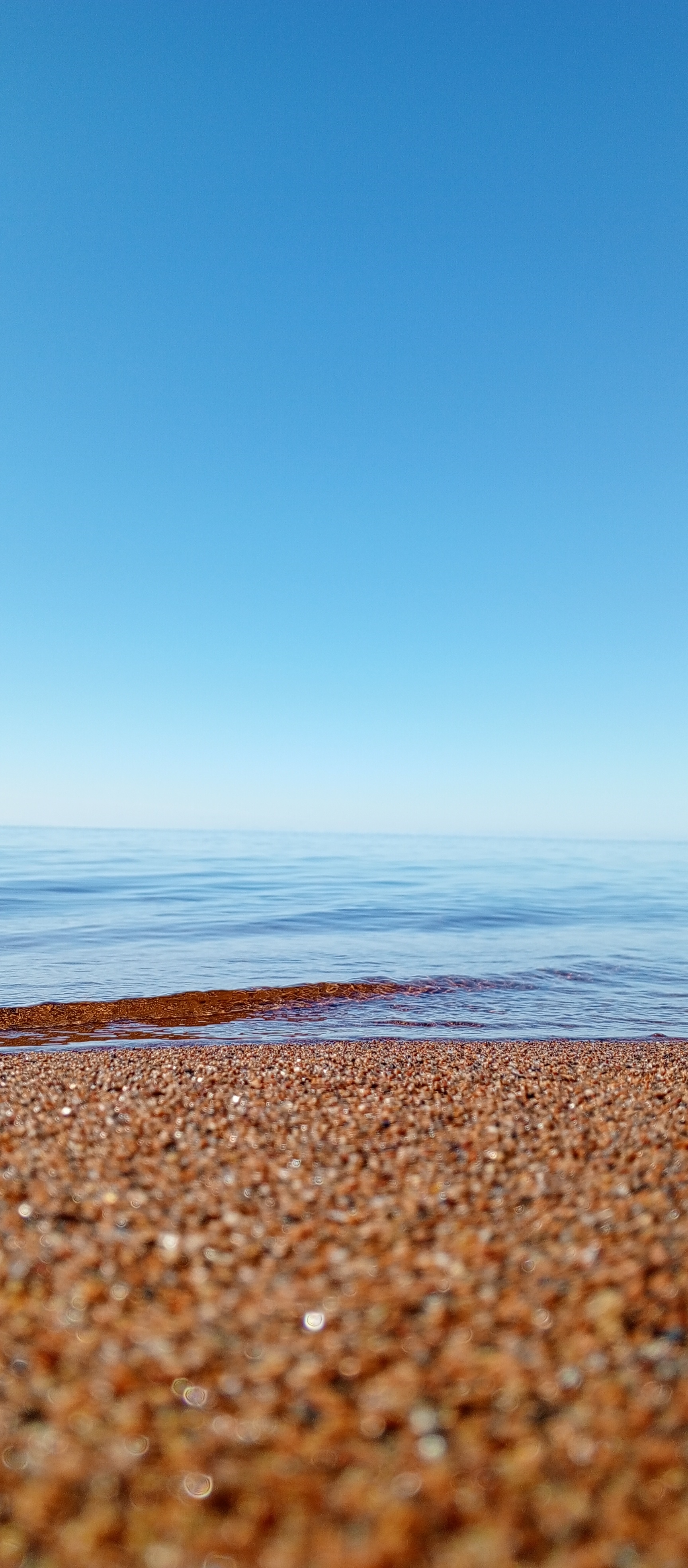 Reply to the post Reply to the post Show the last photo you took just because you thought it was beautiful - My, A wave of posts, Images, cat, The photo, Ladoga, Background, beauty, Mobile photography, Reply to post, Longpost