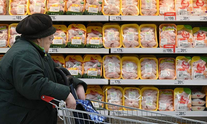 Why can't broiler chicken eggs produce broiler chicks? How do they hatch? A poultry farming mystery. - Egg, Hen, Food, Pets, Animals, Wild animals, Zen, Yandex Zen, Yandex Zen (link), Longpost