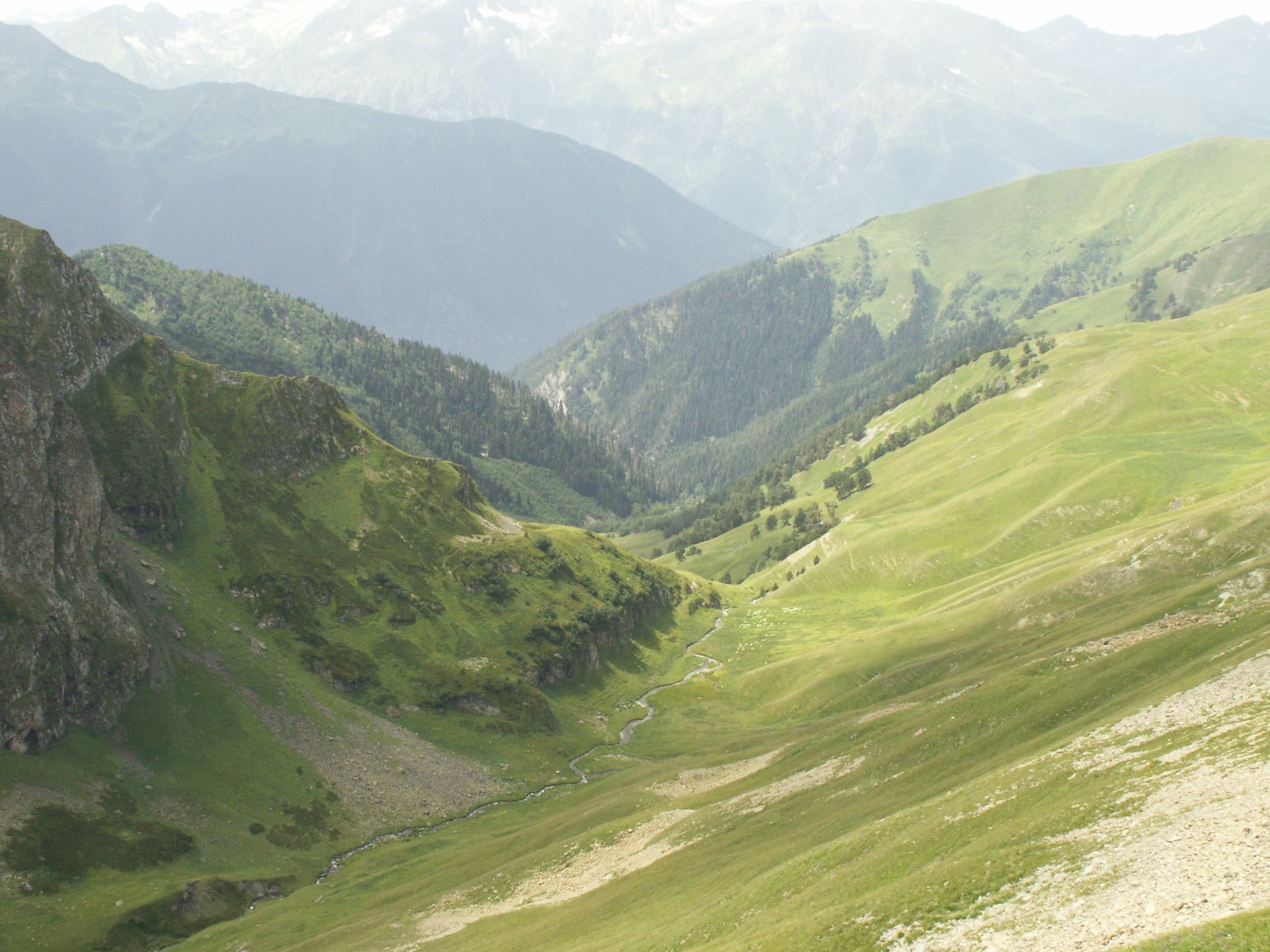 The Zagedanka River Valley - My, The photo, Hardened