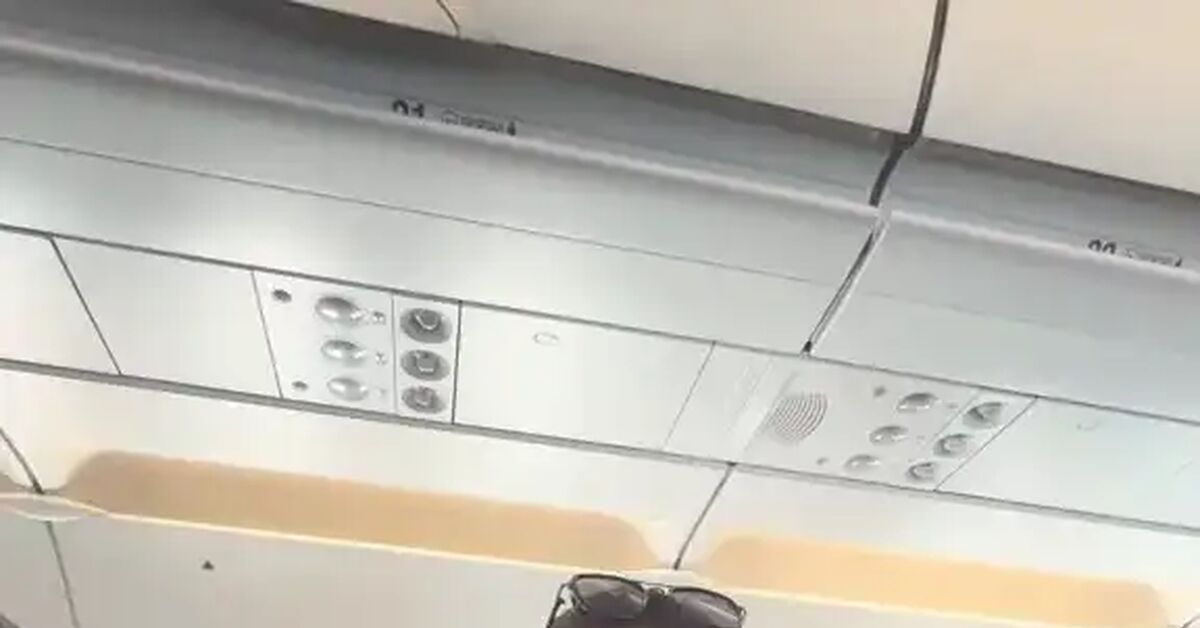 Post #14144953 - Airplane, Children, Scream, Video, Vertical video, Short videos